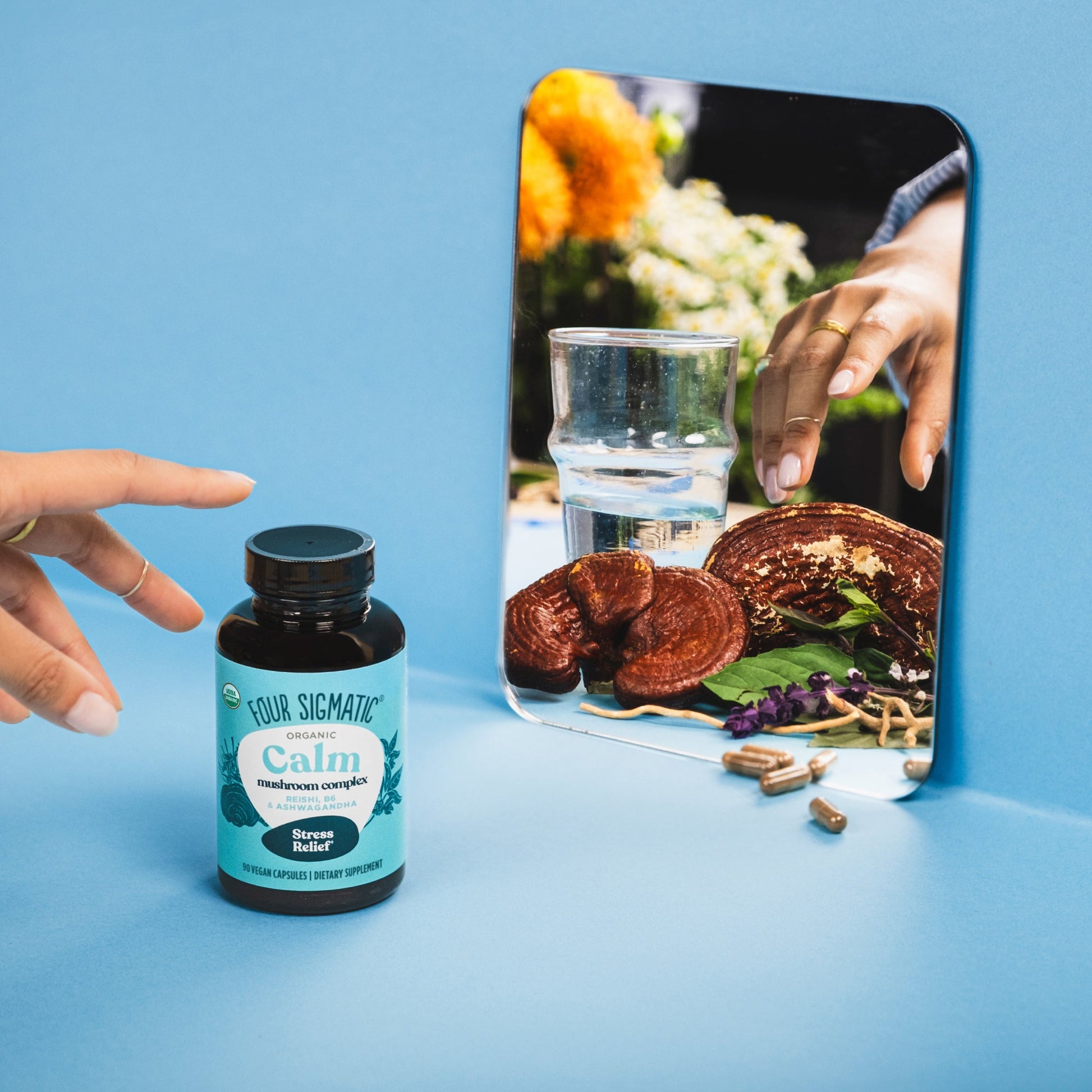calm-capsules-i4 calm-capsule-1.jpg